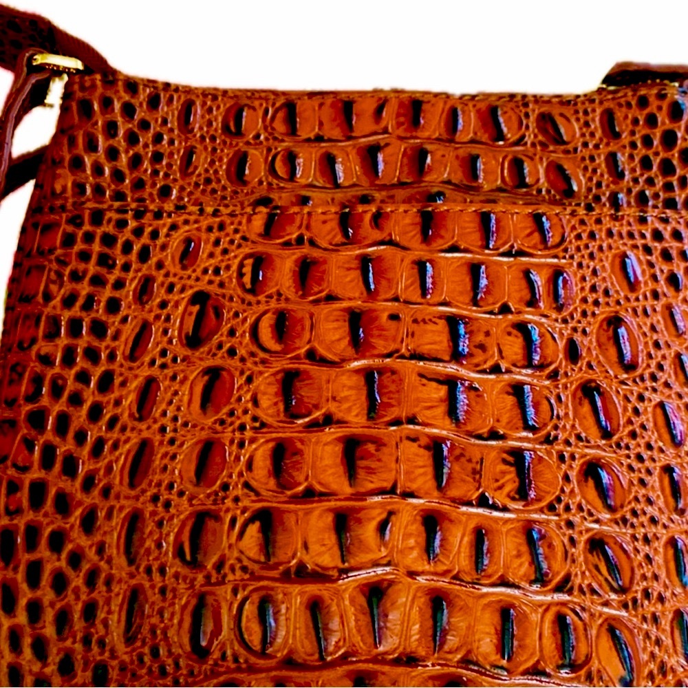 Rioni Leather Croc Embossed Crossbody (Dustbag Included) - Picture 7 of 11